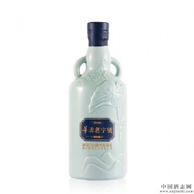 董酒老字号H3 54度董香型500ml